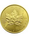 Zlatá investiční mince Maple Leaf 1 Oz